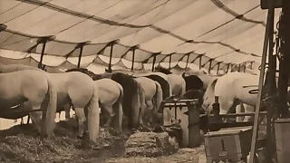 Dark Lantern Entertainment Bonuses 'The Dragonfly' Chapter 3 Pt&period;1